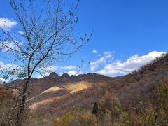 -天女山森林公园
