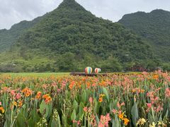 -靖西鹅泉风景区