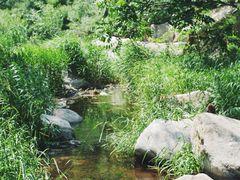 -碓臼峪自然风景区