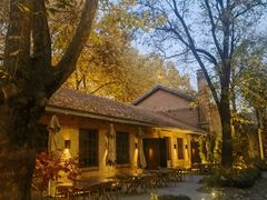 -西安电影制片厂