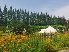 -前小桔亲子创意农场·草莓采摘·露营烧烤