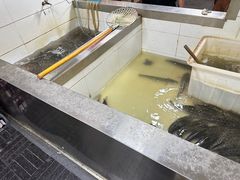 -都江堰石锅鱼