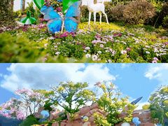 -上海鲜花港