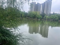 -西南交通大学(九里校区)