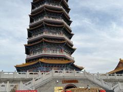 -金塔沙漠胡杨林景区