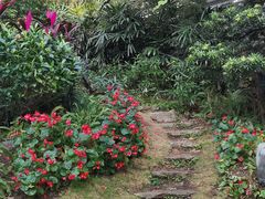 -云溪植物园