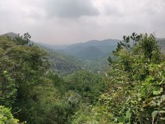 -木兰云雾山