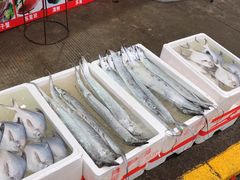 -江杨农产品批发市场