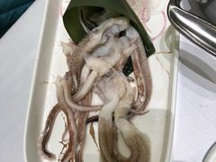 -红鼎豆捞·非遗鲍皇汤火锅(宝丰路店)