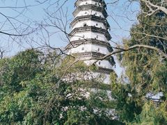 -白塔山公园