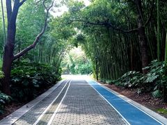 -苏州河梦清园环保主题公园