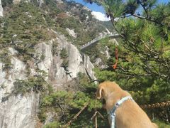 -罗田天堂寨风景区