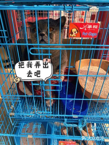 花木虫鱼市场不就是个大型萌宠集中营嘛