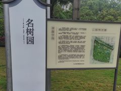 -名树园