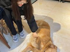 -萌喵咖啡屋(人民东路4号口M16商铺店)