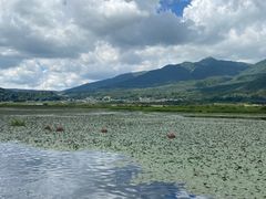 -腾冲北海湿地