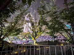 -金鸡湖景区