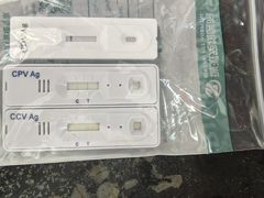 -瑞派中心宠物医院·CT·核磁·神经专科