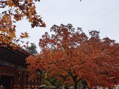 -香山公园