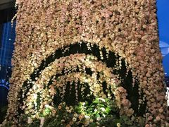 -世纪缘国际会议中心·中餐厅(百家湖店)