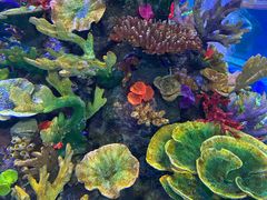 -成都浩海立方海洋公园
