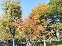 -玄武湖景区-情侣园游乐场