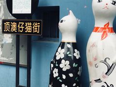 -猫咪博物馆(顶澳仔猫街店)