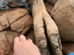 -那琴半岛地质海洋公园