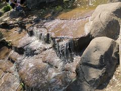 -黑龙江省森林植物园