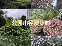 -苏州河梦清园环保主题公园