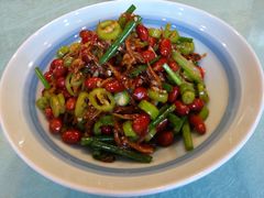 -食家鸽园