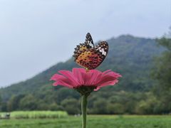 -八卦田遗址公园