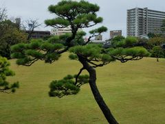 -水前寺成趣园