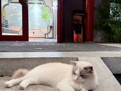 -府学·秋果S酒店(北京南锣鼓巷四合院店)