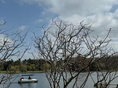 -上海共青森林公园