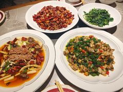 -新渝城·川菜·火锅(区庄店)