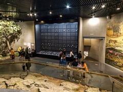 -北京周口店北京人遗址博物馆