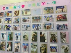 -全心全意连锁动物医院·微创中心·内科急重症·心脏专科(丰管路店)