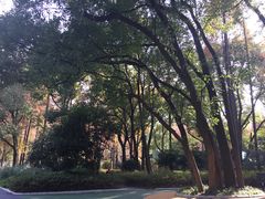 -徐家汇源景区-衡山公园