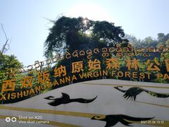 -西双版纳原始森林公园