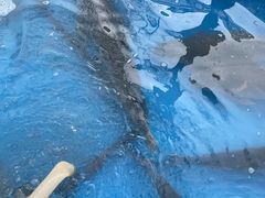 -黄河小浪底水利枢纽风景区