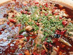-新概念来凤鱼(璧山店)