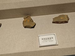 -辽宁古生物博物馆