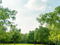 -大屏嶂森林公园