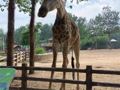 -大连森林动物园