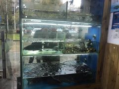 -浔味·山屿湖·正宗淳牌全鱼宴老字号