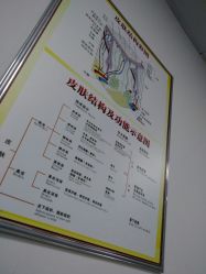 -理肤印象·个人皮肤管理中心