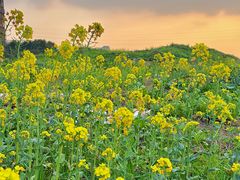 -西南政法大学(渝北校区)