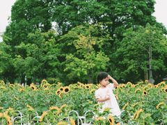 -二沙岛艺术公园