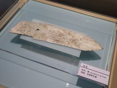 -安阳博物馆